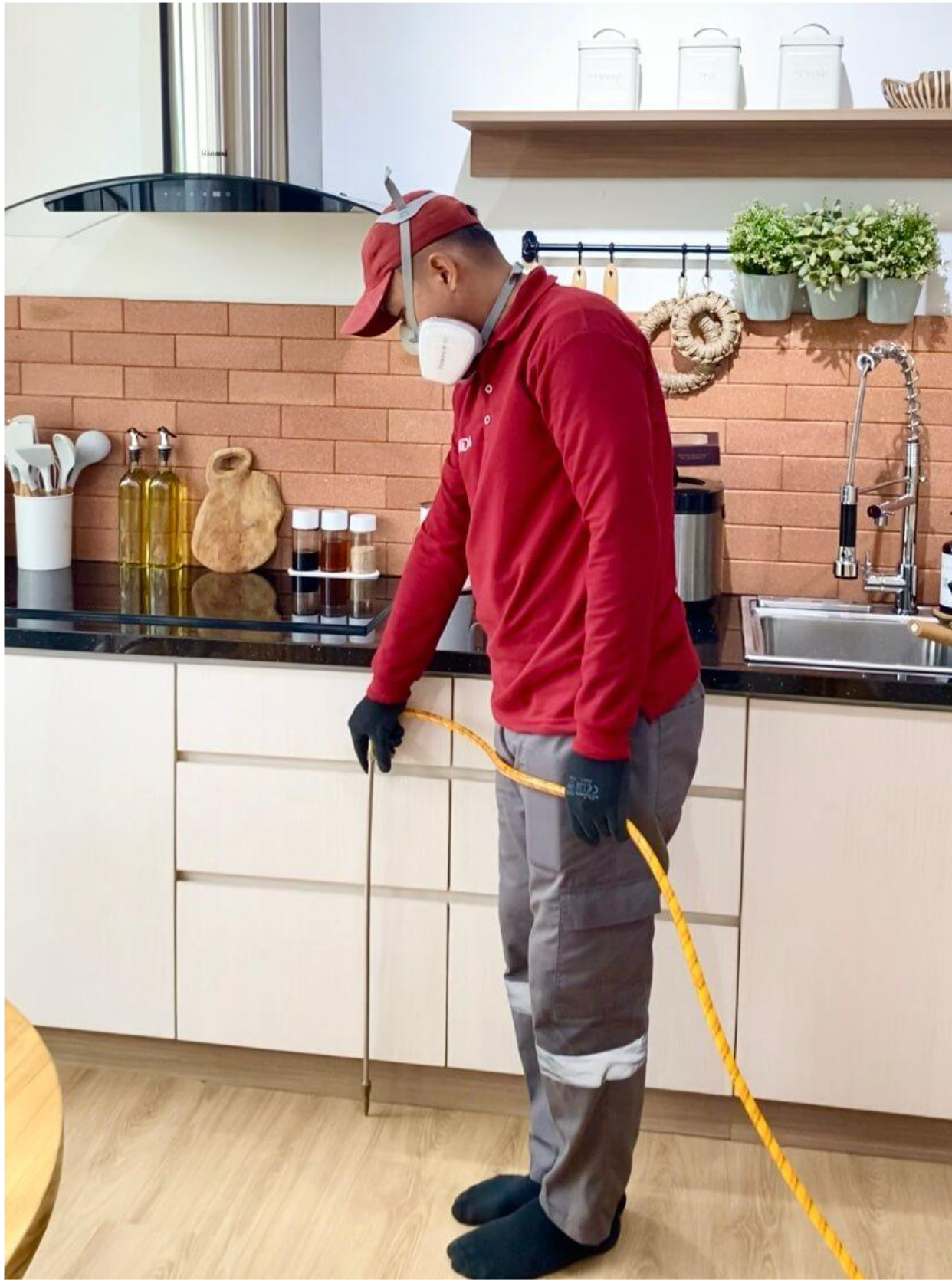 Harga jasa anti rayap kota cirebon