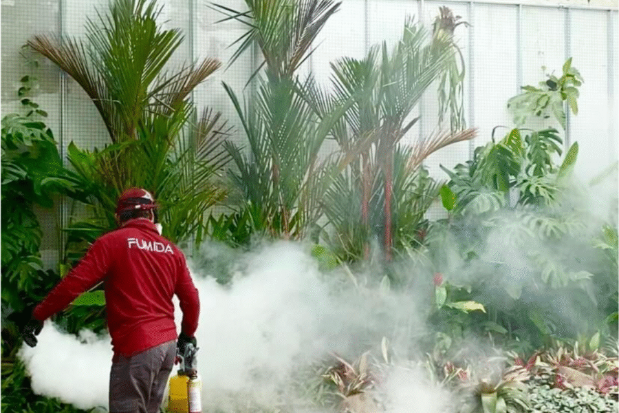 Harga jasa anti rayap probolinggo